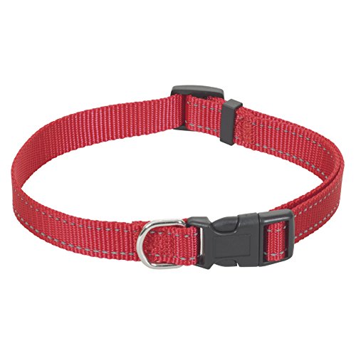 CHAPUIS SELLERIE SLA331 Reflektierendes verstellbares Hundehalsband - Verstärkter Nylongurt rot - Breite 20 mm - Länge 35-60 cm - Größe M von CHAPUIS SELLERIE