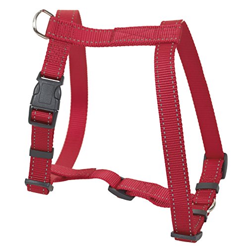 CHAPUIS SELLERIE SLA337 Reflektierendes verstellbares Hundegeschirr - Verstärkter Nylongurt rot - Breite 15 mm - Länge 30-50 cm - Größe S CHAPUIS SELLERIE SLA337 Reflektierendes verstellbares Hundegeschirr - Verstärkter Nylongurt rot - Breite 15 mm - Länge 30-50 cm - Größe S von CHAPUIS SELLERIE