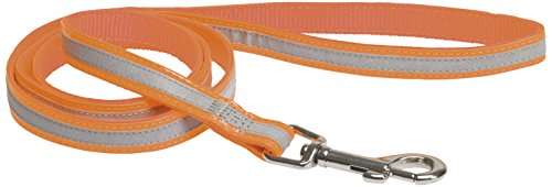CHAPUIS SELLERIE SLA345 Reflektierende Hundeleine - Gurt in Leder-Imitat orange - Breite 25 mm - Länge 1,20 m - Größe L CHAPUIS SELLERIE SLA345 Reflektierende Hundeleine - Gurt in Leder-Imitat orange - Breite 25 mm - Länge 1,20 m - Größe L von CHAPUIS SELLERIE