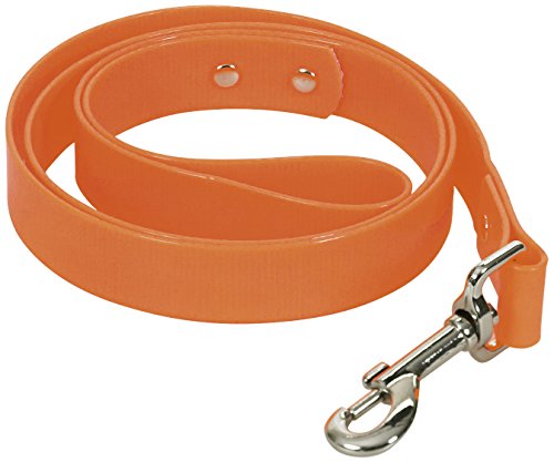 CHAPUIS SELLERIE SLA370 Reflektierende Hundeleine - PVC-Gurt orange - Breite 25 mm - Länge 1,20 m - Größe L CHAPUIS SELLERIE SLA370 Reflektierende Hundeleine - PVC-Gurt orange - Breite 25 mm - Länge 1,20 m - Größe L von CHAPUIS SELLERIE