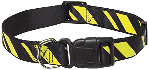 CHAPUIS SELLERIE SLA436 Verstellbares Hundehalsband - Nylongurt seidig glänzend schwarz/gelb gestreift - Breite 25 mm - Länge 38-65 cm - Größe L von CHAPUIS SELLERIE