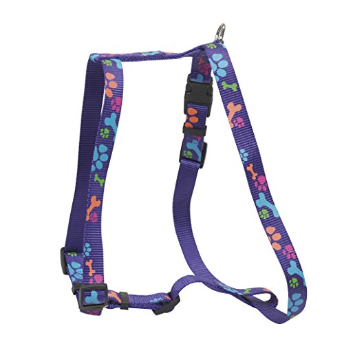 CHAPUIS SELLERIE SLA487 Verstellbares Hundegeschirr - Nylongurt mit violetten Tatzen - Breite 25 mm - Maße 70-90 cm - Größe XL von CHAPUIS SELLERIE