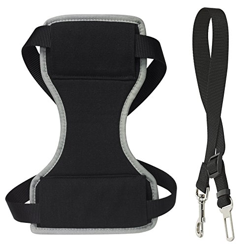 CHAPUIS SELLERIE SLA591 Auto-Sicherheits-Geschirr + -Leine für Hunde - Nylongurt schwarz - Breite 15 mm - Maße 35-50 cm - Größe M von CHAPUIS SELLERIE