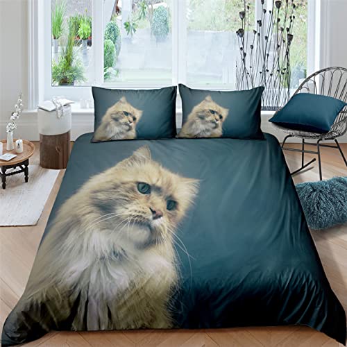 CHCHNXY BettwäSche 155x220,Katze 3D Print Bettwäsche-Set,Weich Microfaser Bettbezug Mit Leichtläufigem Reißverschluss,3 Teilig Kinderbettwäsche(2*Kissenbezug 80x80cm von CHCHNXY
