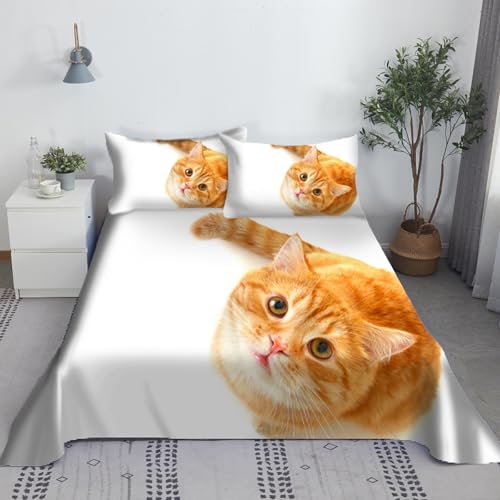 CHCHNXY BettwäSche 155x220,Katze 3D Print Bettwäsche-Set,Weich Microfaser Bettbezug Mit Leichtläufigem Reißverschluss,3 Teilig Kinderbettwäsche(2*Kissenbezug 80x80cm von CHCHNXY
