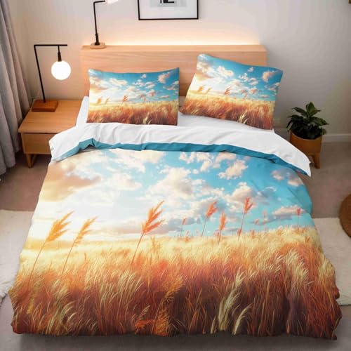 CHCHNXY BettwäSche 200x240,Himmel 3D Print Musterdesign Bettwäsche-Set,100% Mikrofaser Bettwaren-Sets Weiche 1 Bettbezug Mit Reißverschluss Und 2 Kissenbezug 80x80cm von CHCHNXY