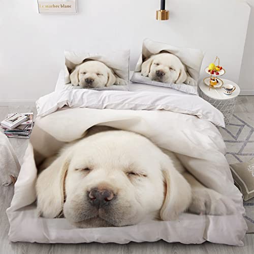 CHCHNXY Bettwäsche 135x200,Hund Flauschige Weich Microfaser Bettbezug Mit Reißverschluss,Für Kinder Jungen Mädchen Junge Bettwäsche-Sets(1*Kissenbezug 80x80cm CHCHNXY Bettwäsche 135x200,Hund Flauschige Weich Microfaser Bettbezug Mit Reißverschluss,Für Kinder Jungen Mädchen Junge Bettwäsche-Sets(1*Kissenbezug 80x80cm von CHCHNXY