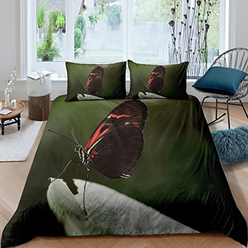 CHCHNXY Bettwäsche 135x200,Schmetterling Flauschige Weich Microfaser Bettbezug Mit Reißverschluss,Für Kinder Jungen Mädchen Junge Bettwäsche-Sets(1*Kissenbezug 80x80cm CHCHNXY Bettwäsche 135x200,Schmetterling Flauschige Weich Microfaser Bettbezug Mit Reißverschluss,Für Kinder Jungen Mädchen Junge Bettwäsche-Sets(1*Kissenbezug 80x80cm von CHCHNXY