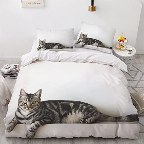 CHCHNXY Bettwäsche 135x200,Weiße Katze Flauschige Weich Microfaser Bettbezug Mit Reißverschluss,Für Kinder Jungen Mädchen Junge Bettwäsche-Sets(1*Kissenbezug 80x80cm CHCHNXY Bettwäsche 135x200,Weiße Katze Flauschige Weich Microfaser Bettbezug Mit Reißverschluss,Für Kinder Jungen Mädchen Junge Bettwäsche-Sets(1*Kissenbezug 80x80cm von CHCHNXY