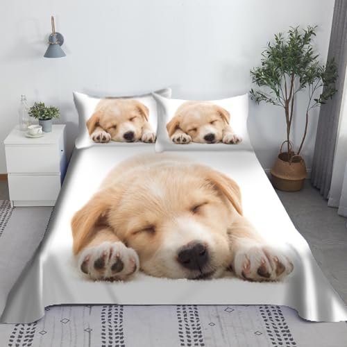 CHCHNXY Bettwäsche 135x200,Weißer Hund Flauschige Weich Microfaser Bettbezug Mit Reißverschluss,Für Kinder Jungen Mädchen Junge Bettwäsche-Sets(1*Kissenbezug 80x80cm CHCHNXY Bettwäsche 135x200,Weißer Hund Flauschige Weich Microfaser Bettbezug Mit Reißverschluss,Für Kinder Jungen Mädchen Junge Bettwäsche-Sets(1*Kissenbezug 80x80cm von CHCHNXY