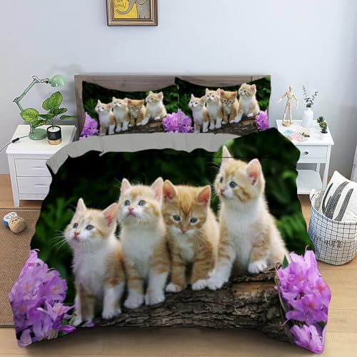 CHCHNXY Bettwäsche 200x200,Katze 3 Teilig Weich Und Atmungsaktiv Bettwäsche-Set,Für Jugendliche Erwachsene 1 Bettbezüge Mit Reißverschluss Und 2 Kissenbezug 80x80cm von CHCHNXY