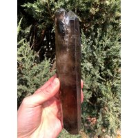 Top Große Schwarze Bergkristallgruppe/Schwarze Bergkristallgruppe/Bergkristallgruppe/Rohe Schwarze Fülle Kristall von CHCrystalGarden