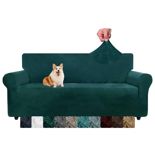 CHELZEN Samt Couchbezüge 3-Sitzer Dicke Stretch Sofa Bezüge für Hunde Haustiere rutschfeste Sofa Slipcover Waschbare Möbel Schutz für Wohnzimmer (3 Sitzer, Schwarzgrün) von CHELZEN
