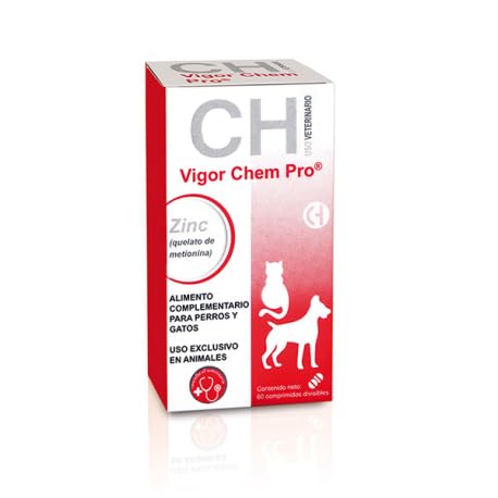 CHEMICAL IBERICA S.L. 08183 VIGOR CHEM PRO 60 COMP. (CH), Kunststoff von CHEMICAL IBERICA S.L.