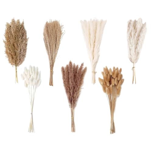 125 Stück Getrocknete Pampasgras Deko Natürliche Schilfgrasstrauß Boho Blumen mit Hasenschwanz Schilfgras für Hochzeiten, Baby Dusche Heimdekoration Rustikale Trockenblumen Arrangements 125 Stück Getrocknete Pampasgras Deko Natürliche Schilfgrasstrauß Boho Blumen mit Hasenschwanz Schilfgras für Hochzeiten, Baby Dusche Heimdekoration Rustikale Trockenblumen Arrangements von CHENGCKJ