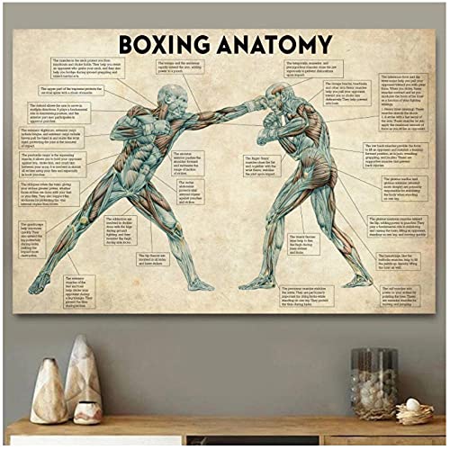 CHENJIAXU Körper Anatomie Poster Vintage Boxen und Drucke Wandkunst Leinwand Malerei Boxen Liebhaber Geschenk für Gym RoomHome Dekoration-50x70cm Ungerahmt von CHENJIAXU