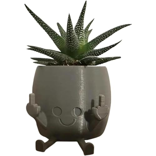 Smiling Plant Pot with Middle Fingers Up, Niedlicher Mittelfinger-Pflanzgefäß, Lustige Mittelfinger Blumentopf, Harz Sukkulententöpfe, Mini Mittelfinger Happy Planter für Desktop, Hof Dekor (Grau) von CHENRI
