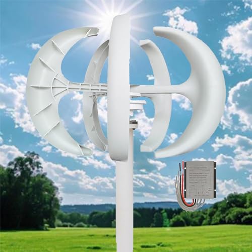 16000W 12V/24V/48V Windturbinengenerator, 5-Blatt-Laternen-Windturbinengenerator-Kit, Ausrüstung zur elektromagnetischen Stromerzeugung, horizontales Windkraftgenerator-Kit(White,48V) von CHENWY