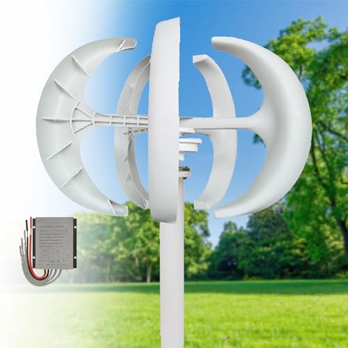 Windturbinengenerator-Kit, 16000 W 12 V/24 V/48 V vertikales Windturbinen-Stromset, 5-Blatt-Horizontal-Windkraftgenerator-Kit für Zuhause, Boot, Marine, Überwachung, Straßenbeleuchtung(White,12V) von CHENWY