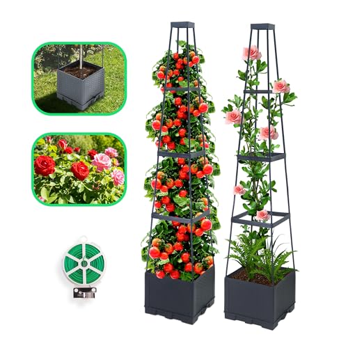 CHEOAR 2 Stück erhöhte Gartenbett Tomatenpflanzer Box mit Gitter, 144cm Selbstwässernder Tomatenkäfig mit Trapezförmigem Gitter für Kletterpflanzen Blumen Gemüse Indoor Outdoor von CHEOAR