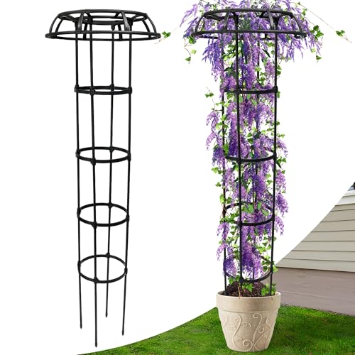 CHEOAR Garten Obelisk Spalier 165 cm für Kletterpflanzen, Rostfrei & Wetterfest aus Metall und Kunststoff, Klettergerüst für Rosen, Clematis, Gemüse im Topf oder Beet, Innen- und Außenbereich CHEOAR Garten Obelisk Spalier 165 cm für Kletterpflanzen, Rostfrei & Wetterfest aus Metall und Kunststoff, Klettergerüst für Rosen, Clematis, Gemüse im Topf oder Beet, Innen- und Außenbereich von CHEOAR