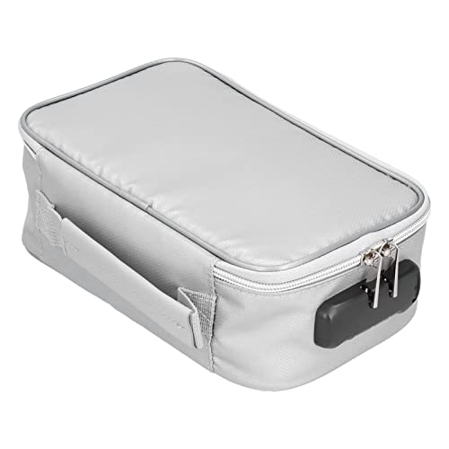 Feuerfeste Dokumenttasche mit Schloss tragbarer kleiner feuerfestes Dokumentbeutel für Home Office Travel (Silber) von CHEOTIME