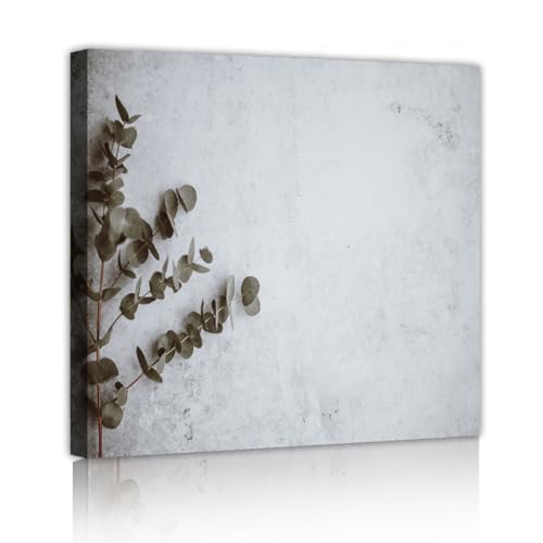 CHERHERART Eukalyptus Blatt Leinwand Wandkunst Bild Minimalistisch Grün Botanisch Poster Kunstwerk Drucke für Wohnzimmer Schlafzimmer Esszimmer Dekor 45x45cm Innenrahmen CHERHERART Eukalyptus Blatt Leinwand Wandkunst Bild Minimalistisch Grün Botanisch Poster Kunstwerk Drucke für Wohnzimmer Schlafzimmer Esszimmer Dekor 45x45cm Innenrahmen von CHERHERART