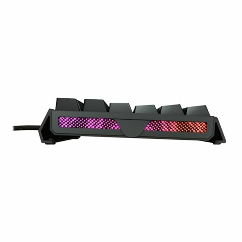 Cherry XTRFY MX 3.1・Kabelgebunden・USB・Mechanischer Switch・QWERTY・RGB-LED・Schwarz (G80-3890HIAUS-2) von CHERRY XTRFY