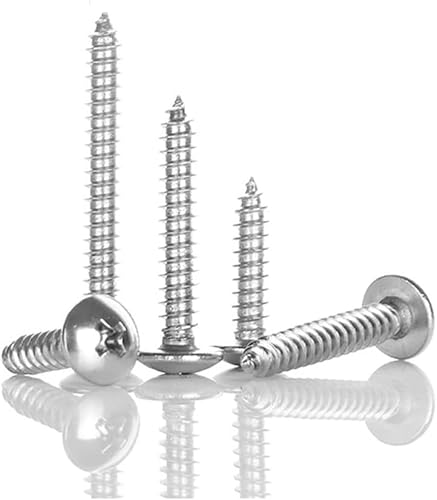 Schrauben, Edelstahlschrauben, 10 teile/los Kreuzschlitz Flachrundkopf Selbstschneidende Schraube 304 Edelstahl Kopfschraube M3 M4 M5 M6(35mm X10pcs,M5) von CHGAUOPN