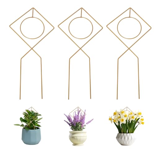 CHGCRAFT 3 Stück Pflanzengitter Metall Kleines Metallgitter Mini Rankgitter für Topfpflanzen Golden Kleines Gartengitter für Gartentöpfe Kletterpflanzen Zimmerpflanzen Topfpflanzen Blumen von CHGCRAFT