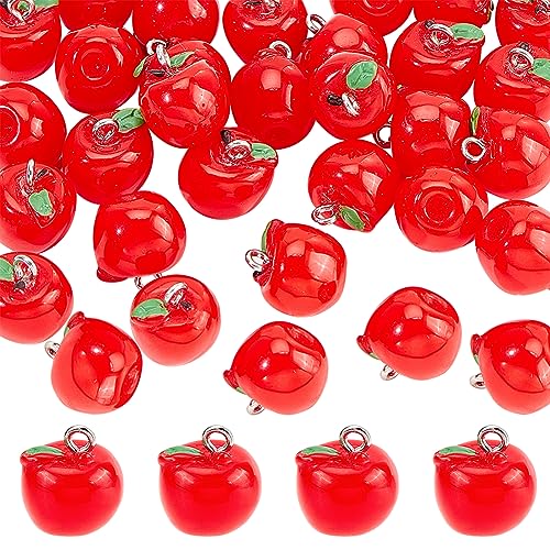 CHGCRAFT 30Pcs Harz Red Obst Frucht Charms mit Platin Ton Eisen Schleifen für DIY Halsketten Armbänder Schmuck Herstellung Zubehör von CHGCRAFT
