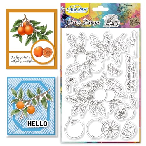 CHGCRAFT Orange Silikon Stempel aus Silikon Briefmarke Orange Blumen Orange Zweige Transparent Stamp Siegel aus Silikon Briefkarten Dekoration Clipbook Transparent Album Papier DIY von CHGCRAFT
