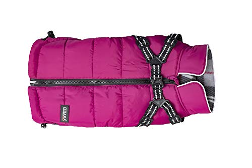 CHIARA Winterjacke mit Geschirr Modell MAX Größe M (Material: 100% Polyester, Hundewinterjacke mit integriertem Fleece-Futter, Step-in, anpassbare Länge, maschinenwaschbar), Farbe: Violett von CHIARA