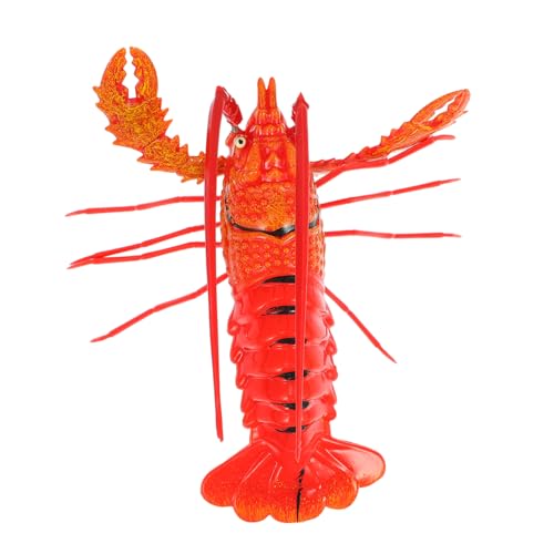 CHICAMPERA 1 Stück Lustiger Rot Lobster Kühlschrankmagnet Dekorative Magnet für Kühlschrank aus Kunststoff für Bilder und Notizen Perfektes für Familie und Freunde CHICAMPERA 1 Stück Lustiger Rot Lobster Kühlschrankmagnet Dekorative Magnet für Kühlschrank aus Kunststoff für Bilder und Notizen Perfektes für Familie und Freunde von CHICAMPERA
