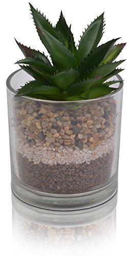 CHICCIE Kunstpflanze Im Glas Mit Kies und Steinen16cm - Kunstblume Sukkulente von CHICCIE