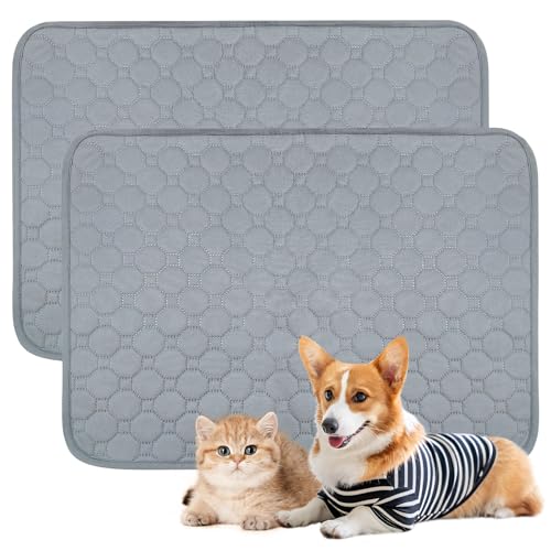 2 Stück Welpenunterlagen Waschbar- Hunde Trainings Pads, 50 x 70 cm, Waschbare Welpen Unterlagen, Super Saugfähig Hunde PIPI Matten, Wasserdicht und rutschfest, für das Hundetraining, Böden, Autos von CHICHI:OÜ