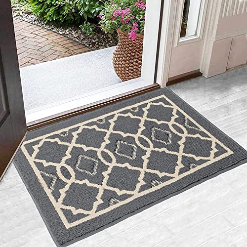 CHICHIC Schmutzfangmatte 60 x 90 cm, Fussmatte Innen rutschfeste & Maschinenwaschbare Fußmatte mit Wasserabsorbierend, Sauberlaufmatte für Haustür, Flur und Eingangsbereich, Grau von CHICHIC