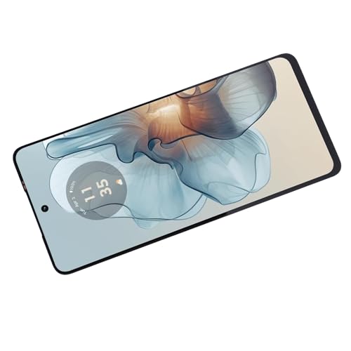 CHICIRIS 2pcs Hölzerne Eier Gefälschte Eier Massiv Holz CHICIRIS 2pcs Hölzerne Eier Gefälschte Eier Massiv Holz von CHICIRIS