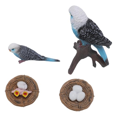 CHICIRIS BudeGer -Spielzeug -PVC Budgie Figur Wachstumszyklus Bildungsmodell mit Lebendigem Lebensechtem Design für Tierlernen und Ausstellung CHICIRIS BudeGer -Spielzeug -PVC Budgie Figur Wachstumszyklus Bildungsmodell mit Lebendigem Lebensechtem Design für Tierlernen und Ausstellung von CHICIRIS