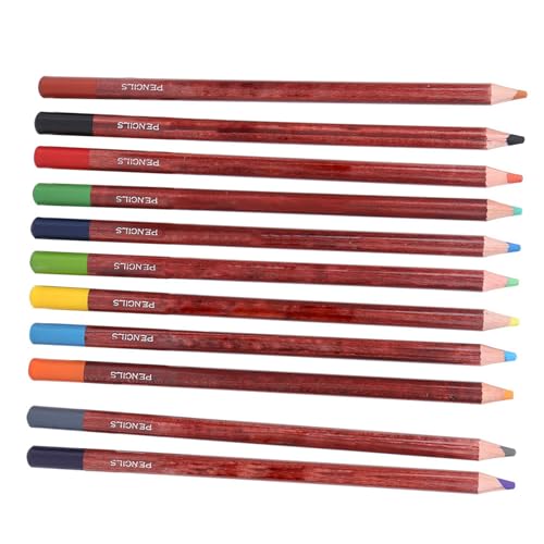 CHICIRIS Holzstangen Pastellstifte Professionelle Skizzierung Malwerkzeugkunstversorgungen 12pcs Bunt Toner Bleistift (Landschaftsfarbe rosa Bleistift) von CHICIRIS