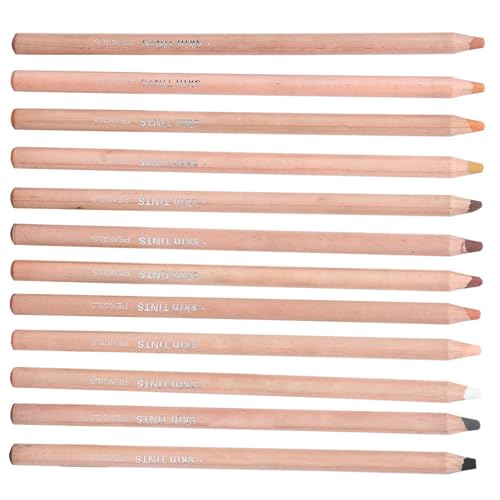 CHICIRIS Holzstangen Pastellstifte Professionelle Skizzierung Malwerkzeugkunstversorgungen 12pcs Bunt Toner Bleistift (Porträt -Farbstift) von CHICIRIS