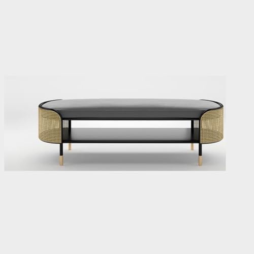 CHICKEN Schuhbank Schuhwechselhocker for den Haushalt, Schuhbank for Eingangsbereich, moderner, minimalistischer Schlafzimmertür-Schuhschrankhocker Schuhregal FüR Den Eingangsbereich(B) von CHICKEN