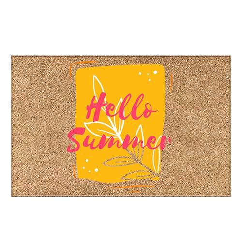 CHISHAYA 40x60cm Bunte Fußmatten Geschenk Bodenmatte Dekorationen Süße Fußmatte Innen Außendekorationen SchmutzfangmatteAußen & Innen rutschfest & Robust Badezimmerteppich (C, 60x40) von CHISHAYA
