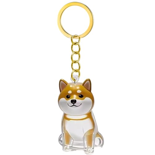 CHIZISX Pet Furs Collector Schlüsselbund Hundeform Haarspeicher Denkmals Kastenschlüsselung Hundekatzen Besitzer Tragbare Haustierhaardenkette Keepsakes Keychain von CHIZISX