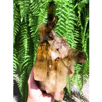 Große Rohe Rauchkristall + Gelb Kristall Cluster/Quarz Cluster/Rough Schwarz Fülle Platte/Reiki Heilung/Besonderes Geschenk von CHMineralCollection