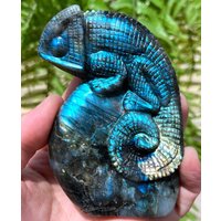 Handgeschnitzte Sheen Labradorit Kristallquarz Eidechse/Glänzend Polierter Labradorit/Chakra Reiki/Wohndekor/Sammlerstücke/Heilstein/Chakra Handgeschnitzte Sheen Labradorit Kristallquarz Eidechse/Glänzend Polierter Labradorit/Chakra Reiki/Wohndekor/Sammlerstücke/Heilstein/Chakra von CHMineralCollection