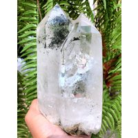 Natürlicher Großer Gartengrüner Phantomquarzturm/ Bergkristall/Lodalit/Chakra/Reiki/Heilstein/Geschenke Für Sie von CHMineralCollection