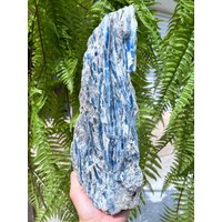 Natürlicher Großer Seltener Kyanit/Blauer Kyanit/Feng Shui/Meditation/Besonderes Geschenk/Kristallgitter/Natürlicher Mineralstein/Roh Kyanit in von CHMineralCollection