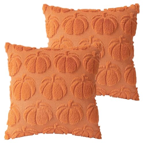 2 Stück Kürbis Kissenbezug, Herbst Kissenbezüge 45x45 cm, Kissenhülle Herbst, Kissenbezug Kürbis Zierkissenbezug Dekorativ, Kissenhüllen Herbst für Büro Auto Sofa Schlafzimmer Dekoration (B) von CHONGQILAO