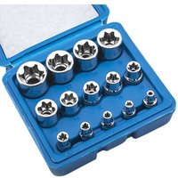 CHOYCLIT 14-teiliges Innensechskant-Torx-Steckschlüssel-Set, E-Stern E4-E24, E-Torx, Außensechskant-Stecknuss CHOYCLIT 14-teiliges Innensechskant-Torx-Steckschlüssel-Set, E-Stern E4-E24, E-Torx, Außensechskant-Stecknuss von CHOYCLIT